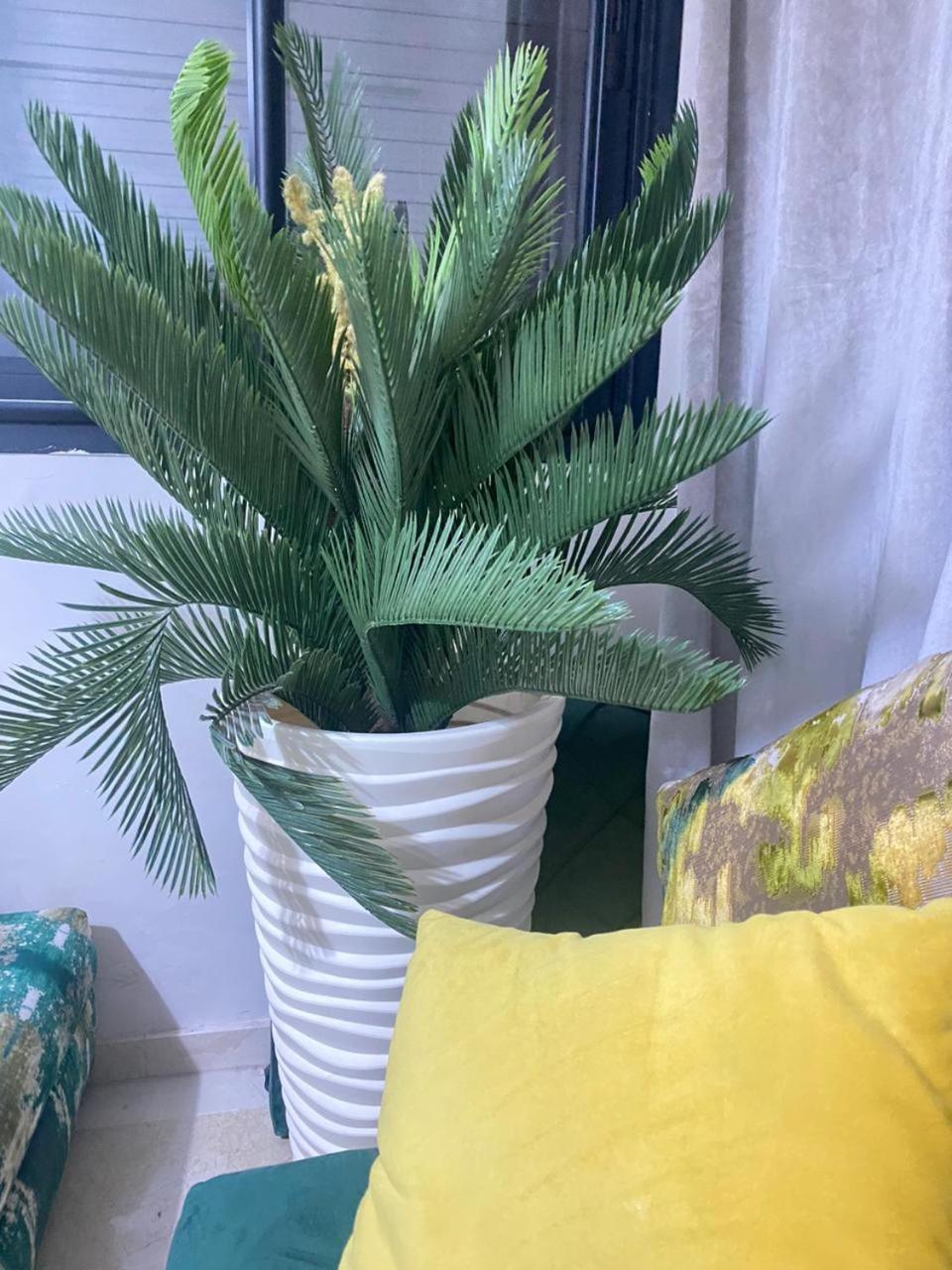 Cosy & Magnifique Appartement Marrakech マラケシュ エクステリア 写真